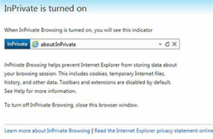 Use Internet Explorer's private browsing mode.