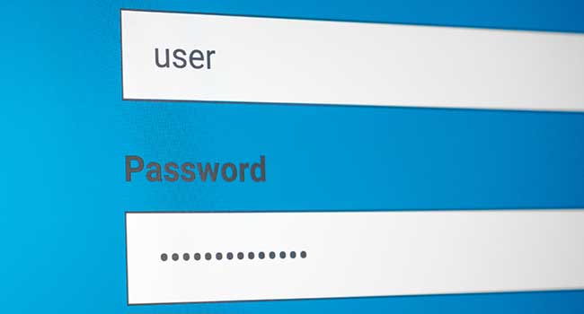 how to safely protect passwords from hackers for free