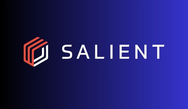 Salient Systems logo on purple gradient background