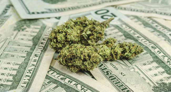 Cannabis Cash - How do you secure your place in the weed business?