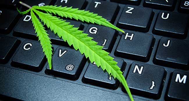 Washington State Cannabis Tracking System Hacked