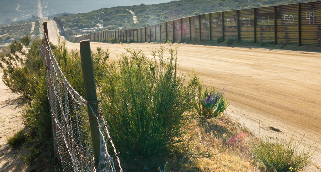 Yay or Nay for a U.S. Border Wall
