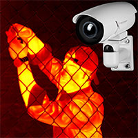 WatchMaster IP Cameras