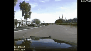 Dashcam shows Arizona officer running into suspect