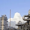Chemical Plant Security Assessment: Prioritizing Facilities that Need to Be Protected