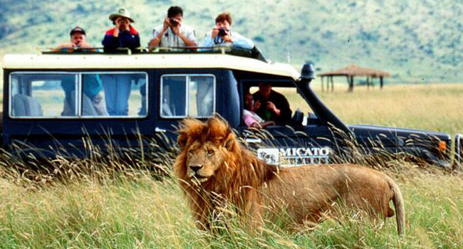 Personal Safety on an African Safari