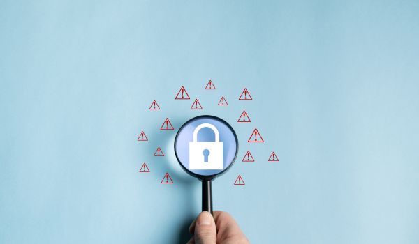 Network security vulnerability concept