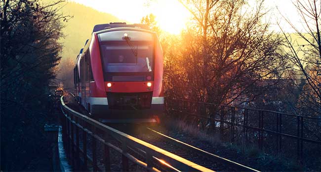 Ax-Wielding Teen Wounds Several on German Train