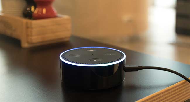 Alexa Integrates with Even More Security Systems