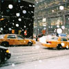 New York in November