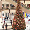 12 Days of Christmas 