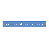 Frost and Sullivan Finds US Airport Perimeter Security Market in Decline