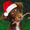 Happy Howl-i-days Pet Photo Contest