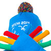 Protecting the Winter Olympics in Sochi