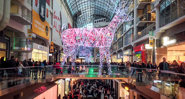 "Holiday Freeze" Tips for Retailers and Consumers