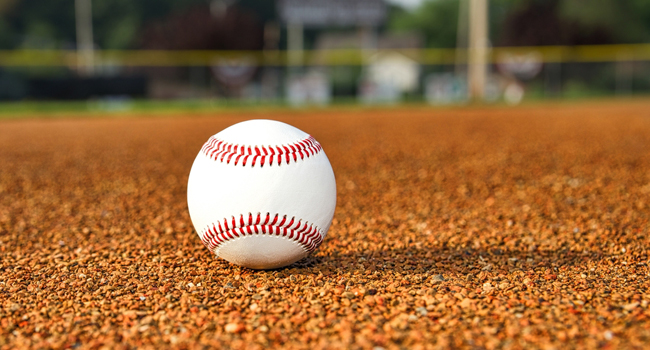Baseball security