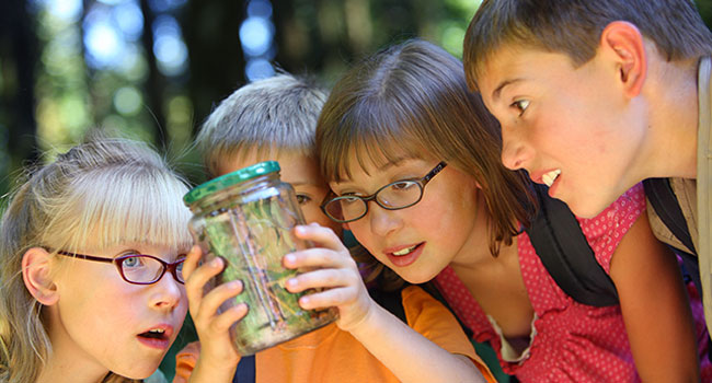 Security at Summer Camps is Not What it Needs to Be