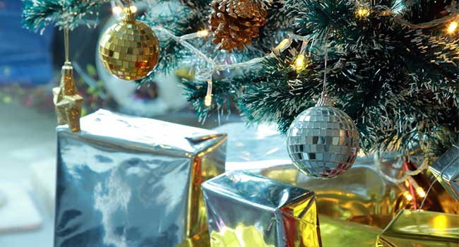 Security Tips for the Holidays
