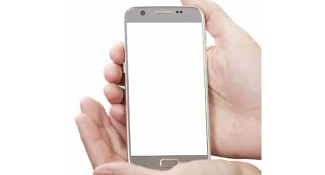 In the Palm of Your Hand