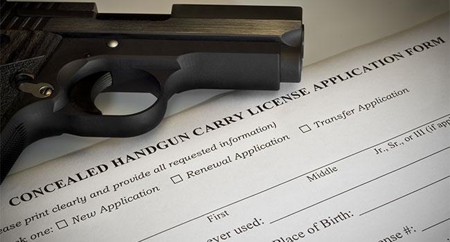House Passes Bill Allowing Concealed Carry Across State Lines