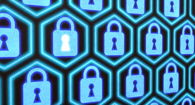 Government Website Vulnerability Exposes Over 14 Million Customers