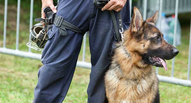 CSK9 is the first commercial security company to successfully certify an Explosive Detection Canine Team under the TSA Certified Cargo Security Program - Canine Initiative.