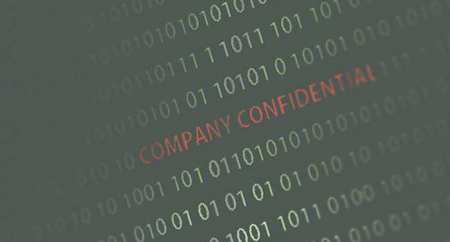 How Organizations Can Leverage Microsegmentation to Create a Zero Trust Environment 