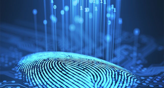 New Fingerprint Technology Can Detect Cocaine Use