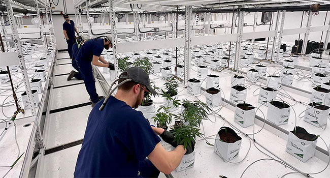 Paxton Secures Highlands Grow Facility