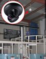 Canon VB-C60 PTV IP cameras are installed at the Riverhead Foundation for Marine Research and Preservation, in Riverhead, N.Y. The camera shown is mounted in a protective dome above seal tanks 5 and 6 at the facility. Photo courtesy of Gretchen Kowalik/Norico Kanai.