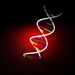 DNA
