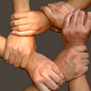 Newly Formed Berk Tek Leviton Technologies Alliance  Provides Increased Customer Value