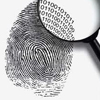 Leveraging Lumidigm Sensors with Innometriks New Rhino Touch Makes Self Service Validation Easy