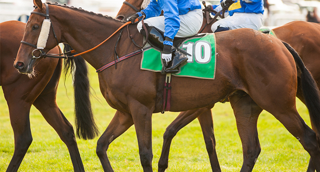 Breeder’s Cup Aims for Cocoon of Safety