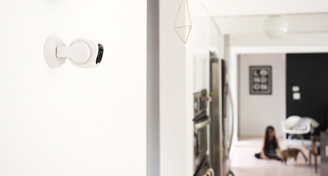Tend Lynx Indoor Camera is Small but Mighty