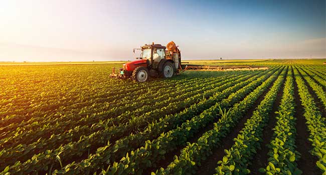 How to Ensure You Have a Safe and Efficient Farm
