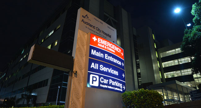 Medical Data of 1 Million New Zealanders Potentially Exposed in Health System Breach