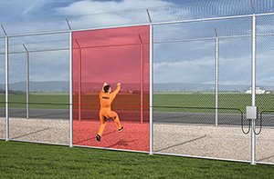 Fence Detection System