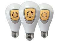 LED Light Bulbs