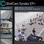Syndex