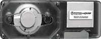 DDA Detector of Smoke and Combustion Products