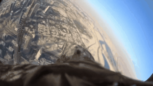 What Happens When You Strap A Camera To An Eagle?