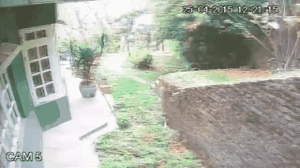 CCTV footage of Nepal Earthquake