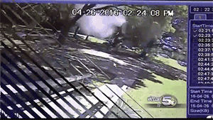 Security Cam Captures Plane Crashing Into Trees, Bursts Into Flames